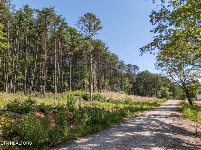 841 Griffith Rd, Pikeville, TN 37367