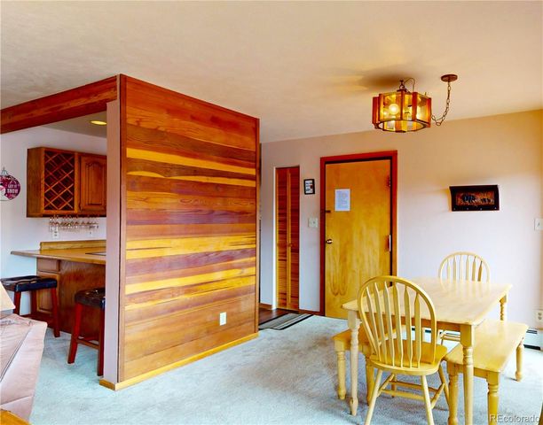 91200 Ryan Gulch Road 91213, Silverthorne, CO 80498