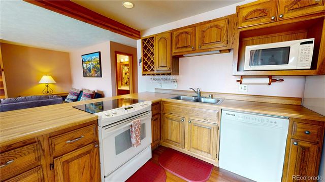 91200 Ryan Gulch Road 91213, Silverthorne, CO 80498