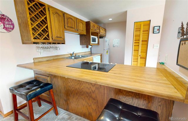 91200 Ryan Gulch Road 91213, Silverthorne, CO 80498