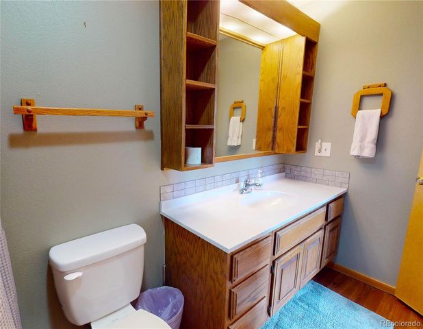 91200 Ryan Gulch Road 91213, Silverthorne, CO 80498