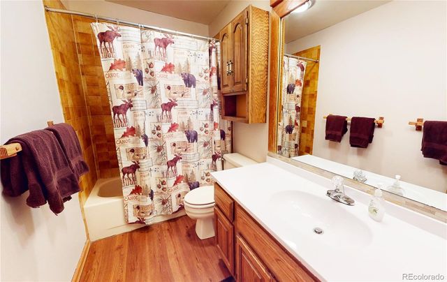 91200 Ryan Gulch Road 91213, Silverthorne, CO 80498