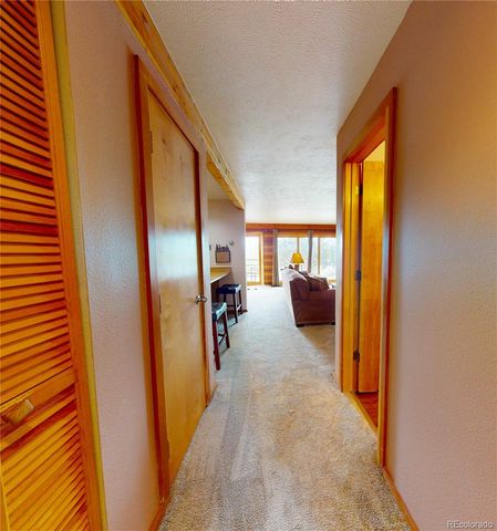 91200 Ryan Gulch Road 91213, Silverthorne, CO 80498