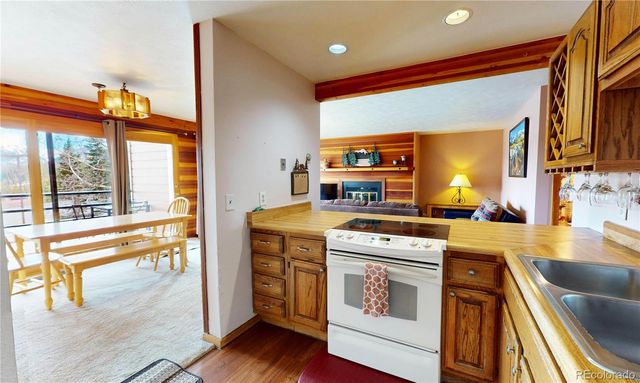 91200 Ryan Gulch Road 91213, Silverthorne, CO 80498