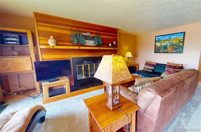 91200 Ryan Gulch Road 91213, Silverthorne, CO 80498