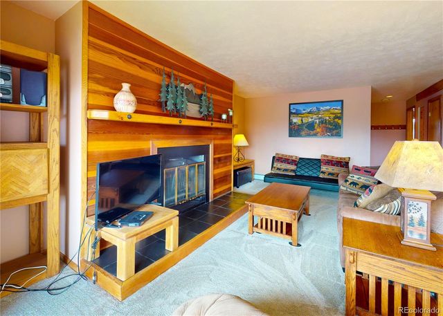 91200 Ryan Gulch Road 91213, Silverthorne, CO 80498