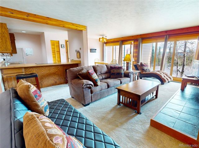 91200 Ryan Gulch Road 91213, Silverthorne, CO 80498