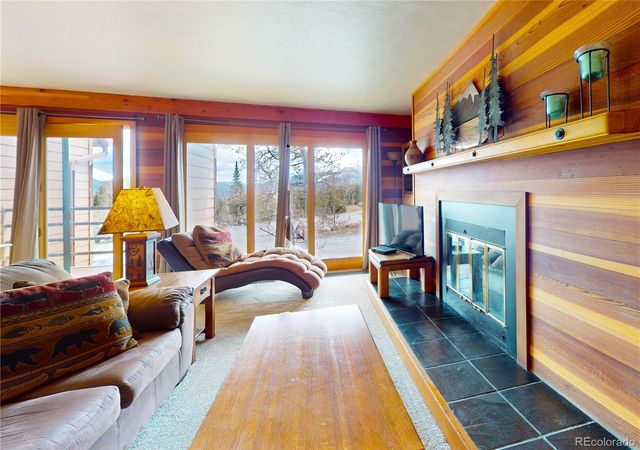 91200 Ryan Gulch Road 91213, Silverthorne, CO 80498