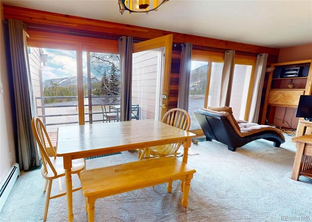 91200 Ryan Gulch Road 91213, Silverthorne, CO 80498