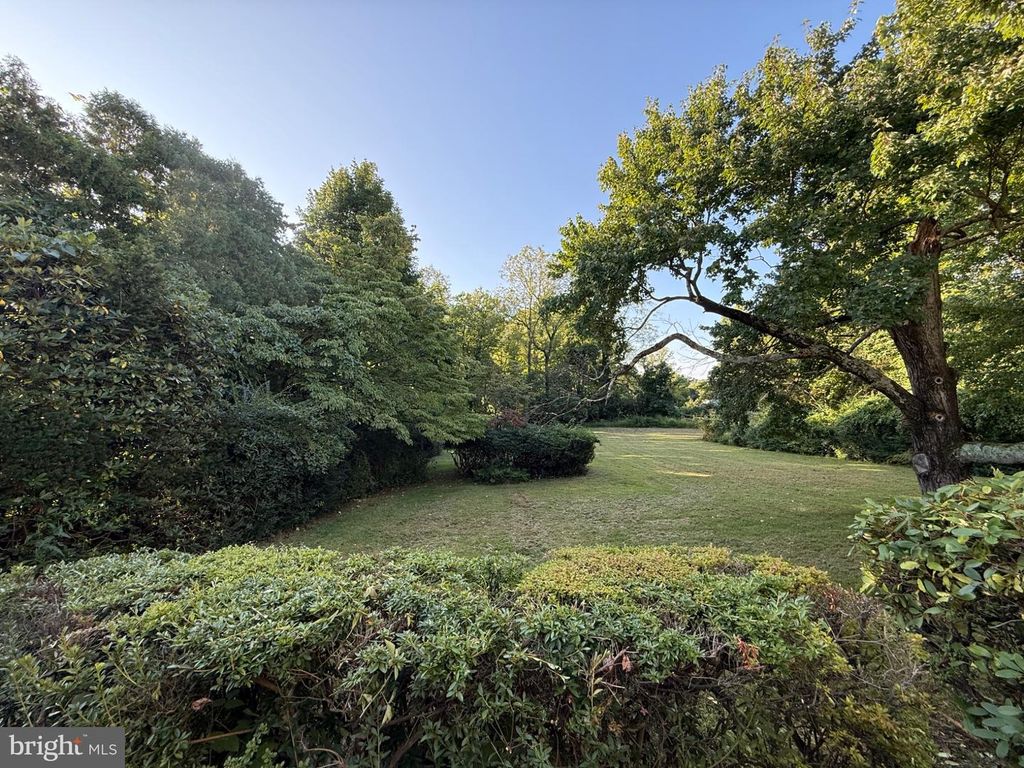162 E BUTLER AVE, DOYLESTOWN, PA 18901 — photo 5