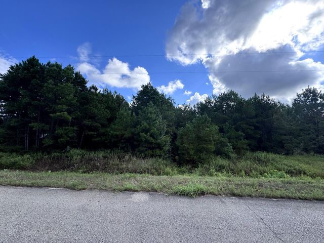 4546 N Duck Creek Road, Cleveland, TX 77328