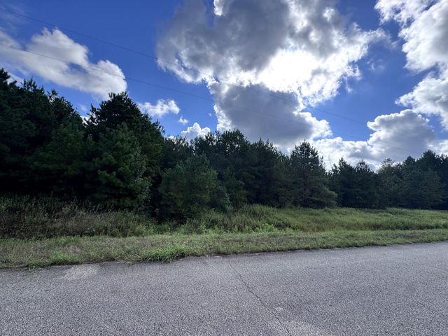 4546 N Duck Creek Road, Cleveland, TX 77328