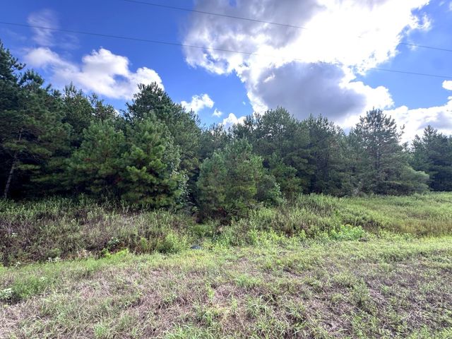 4546 N Duck Creek Road, Cleveland, TX 77328