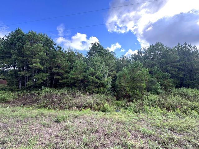 4546 N Duck Creek Road, Cleveland, TX 77328