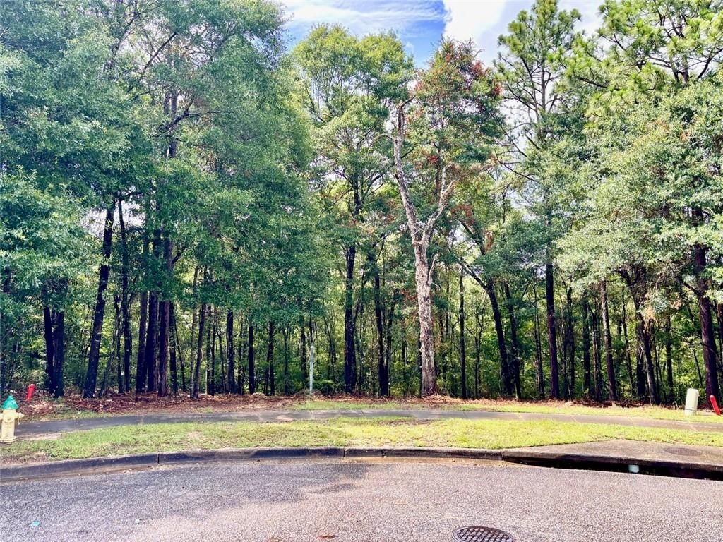 0 Jessamine Court, Mobile, AL 36618 — photo 4