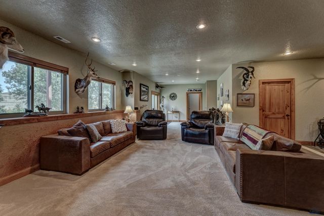13596 FRONTIER LOOP, Piedmont, SD 57769