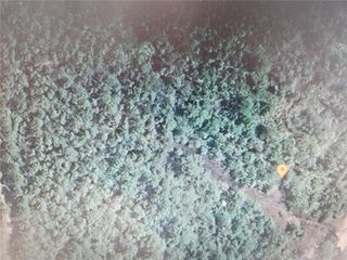 HOLOPAW GROVES ROAD, St Cloud, FL 34771