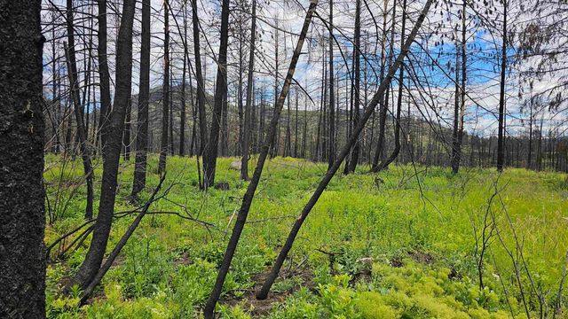 34XX Lael-Flat Creek Rd, Kettle Falls, WA 99141 property photo