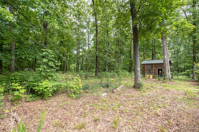 7876 Oscar Green Rd, Primm Springs, TN 38476