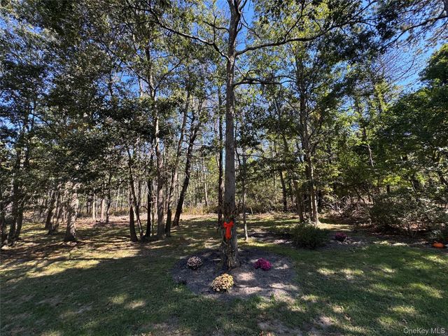 43 N Cozine Road, Manorville, NY 11949