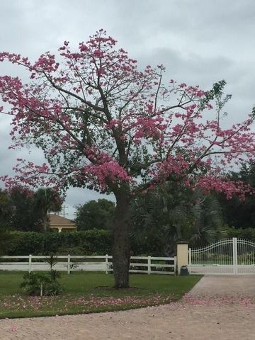 650 E Rambling Drive, Wellington, FL 33414