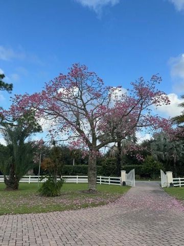 650 E Rambling Drive, Wellington, FL 33414