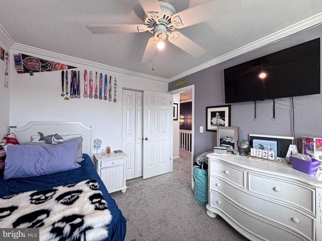 1004 MARION QUIMBY DR, Stevensville, MD 21666