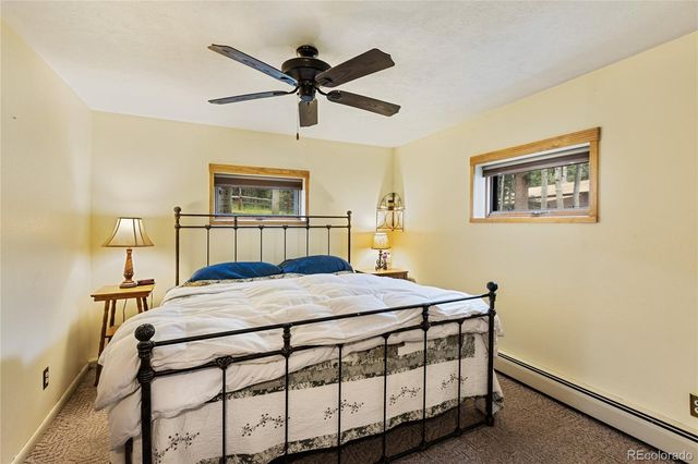 56 Blue Jay Lane, Divide, CO 80814