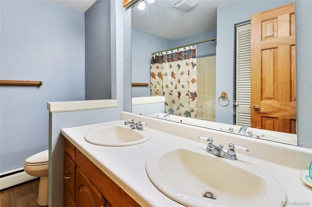 56 Blue Jay Lane, Divide, CO 80814