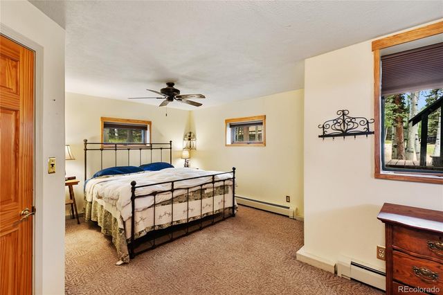 56 Blue Jay Lane, Divide, CO 80814