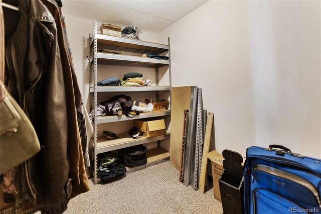 56 Blue Jay Lane, Divide, CO 80814