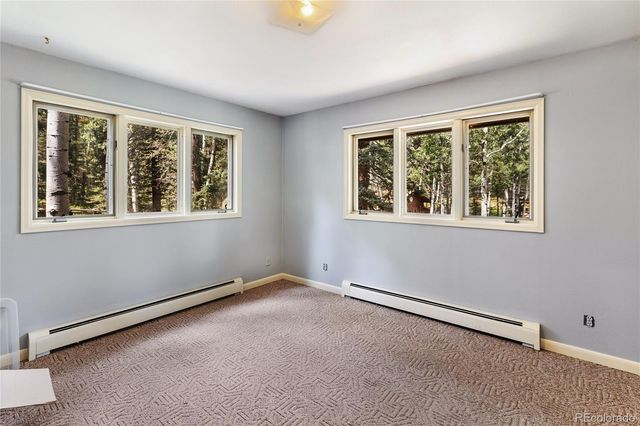 56 Blue Jay Lane, Divide, CO 80814