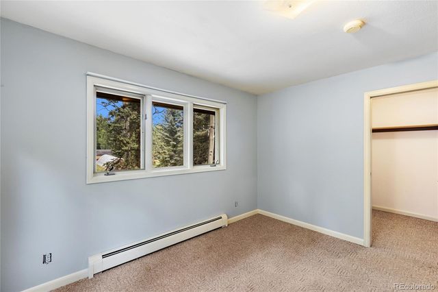 56 Blue Jay Lane, Divide, CO 80814