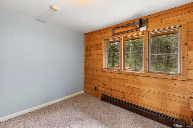 56 Blue Jay Lane, Divide, CO 80814