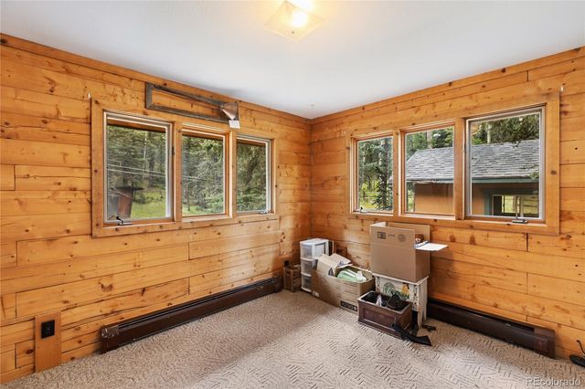 56 Blue Jay Lane, Divide, CO 80814