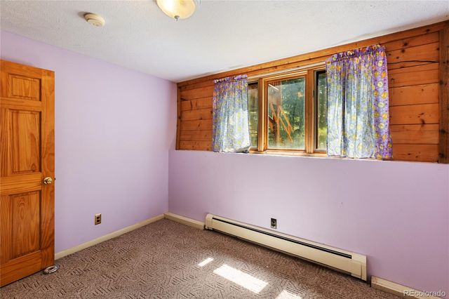 56 Blue Jay Lane, Divide, CO 80814