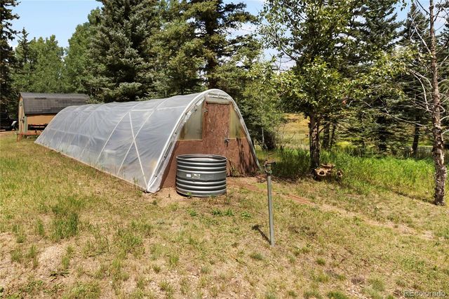 56 Blue Jay Lane, Divide, CO 80814