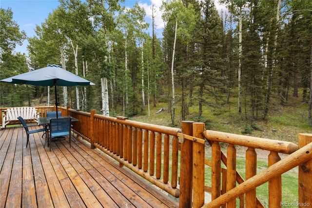 56 Blue Jay Lane, Divide, CO 80814