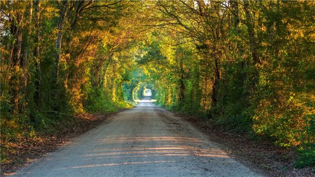 3765 Poteet Road, Normangee, TX 77871