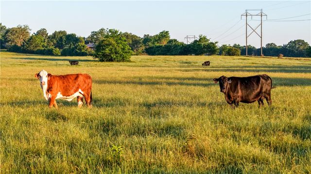 3765 Poteet Road, Normangee, TX 77871