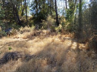 xx Shasta Dam Blvd, Shasta Lake, CA 96019