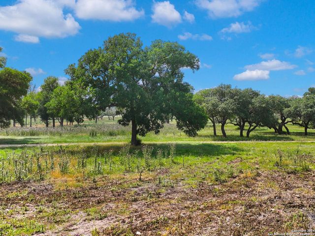 LOT 169 Coldwater Dr, Center Point, TX 78010