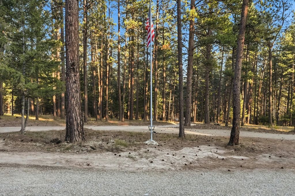 569 Timber Trail, Stevensville, MT 59870 photo 63