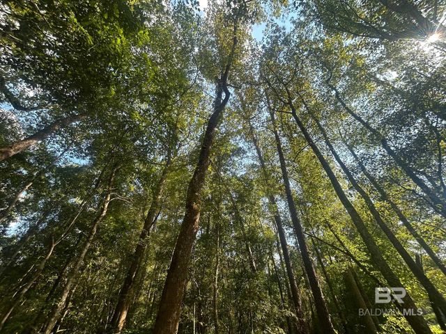 0 Baumhauer Drive, Mobile, AL 36613