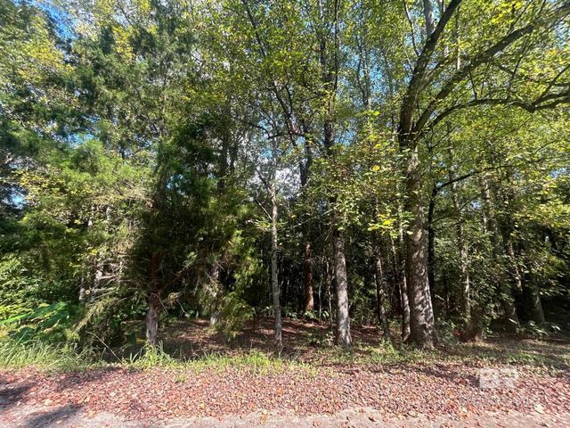 0 Baumhauer Drive, Mobile, AL 36613