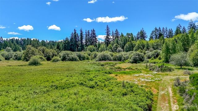317 184th Avenue Ct SW, Lakebay, WA 98349
