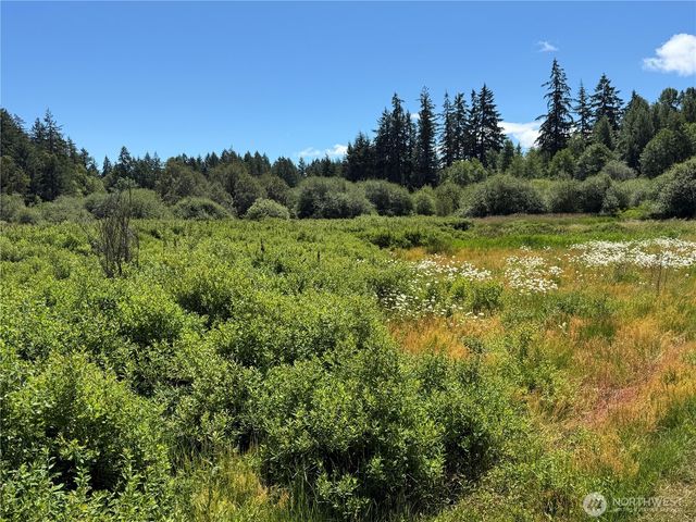 317 184th Avenue Ct SW, Lakebay, WA 98349