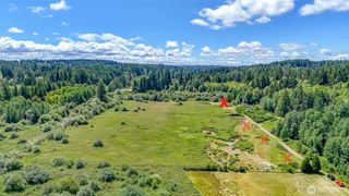 317 184th Avenue Ct SW, Lakebay, WA 98349