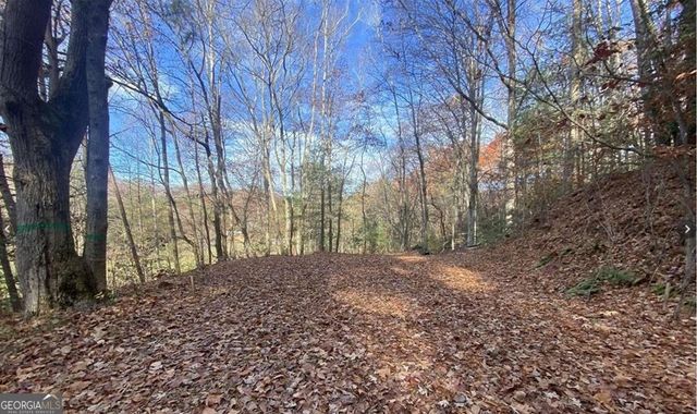 1 Barefoot Hills Road, Hiawassee, GA 30546