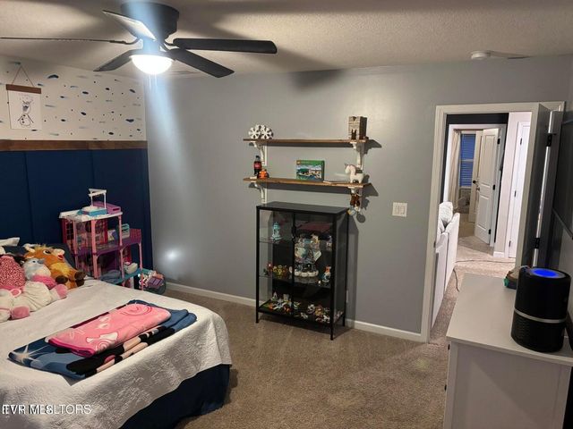 1177 Raccoon Lane, Piney Flats, TN 37686